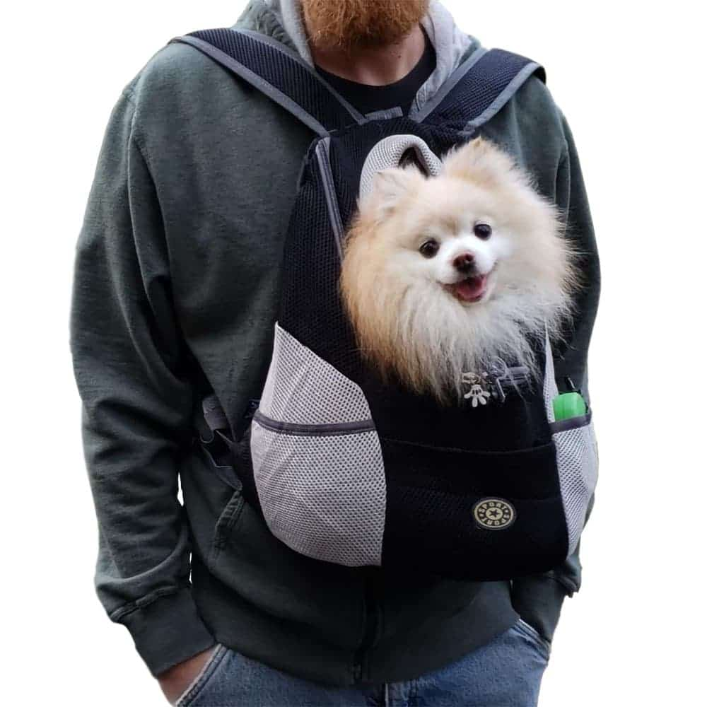 Dog Backpack