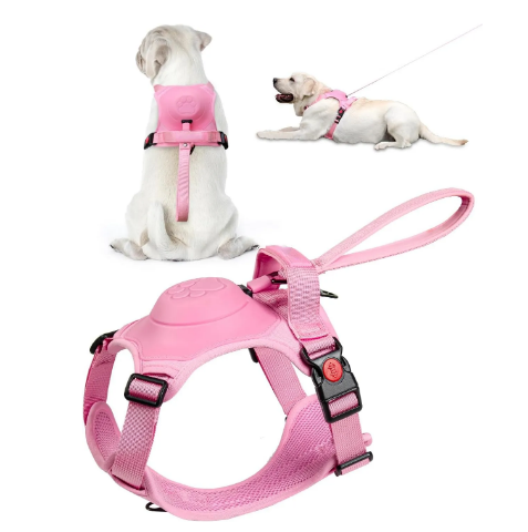 Dog Harness and Retractable Leash Set All-in-One