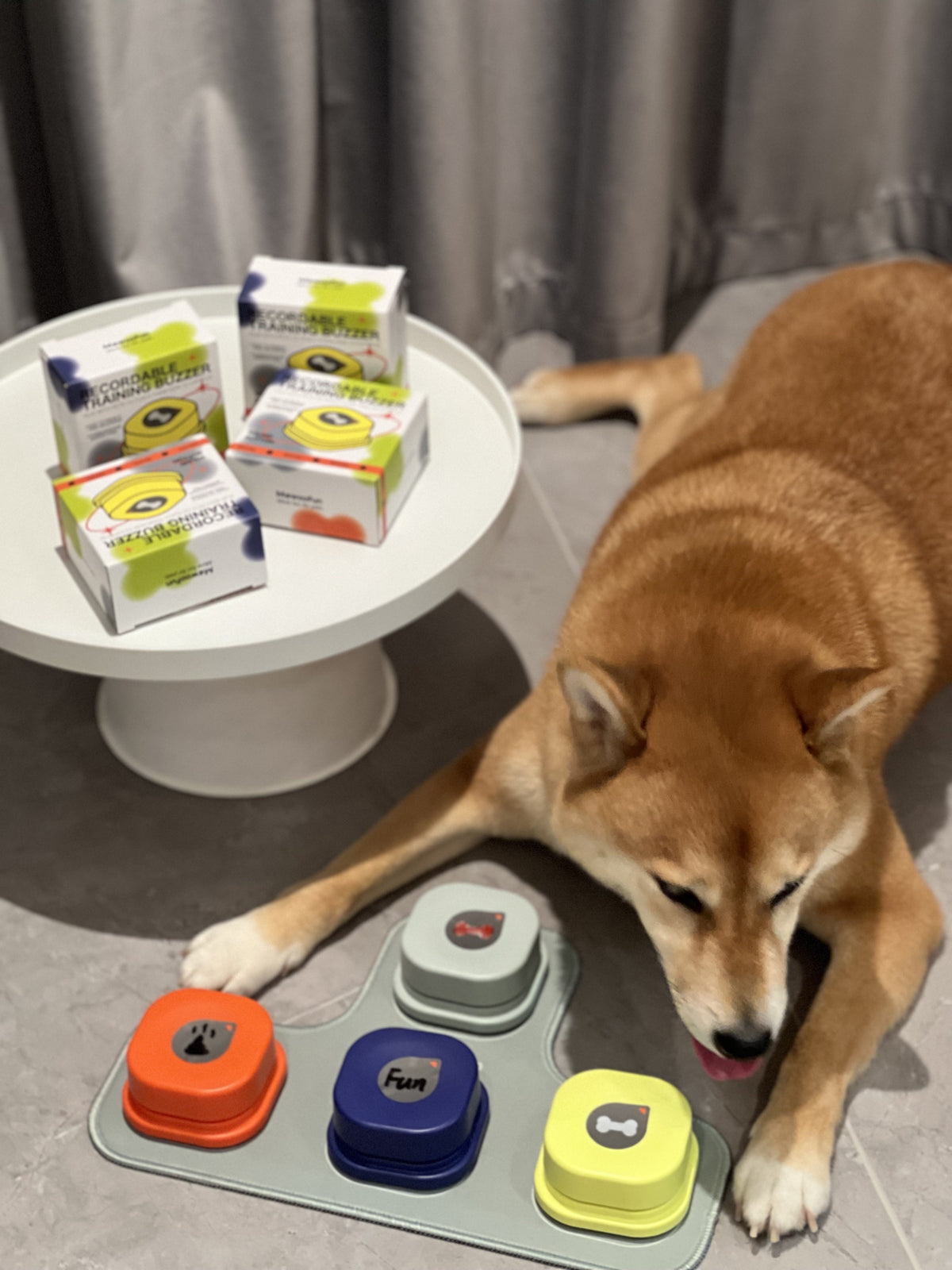 Dog Training Talking Buttons