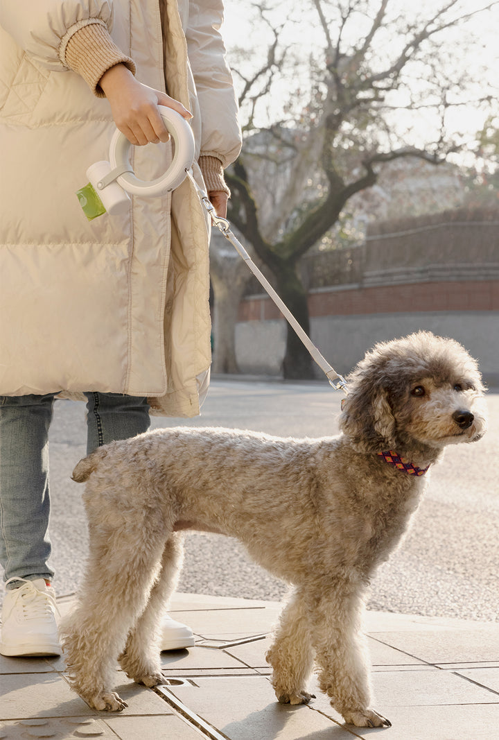 Smart LED Retractable Dog Leash