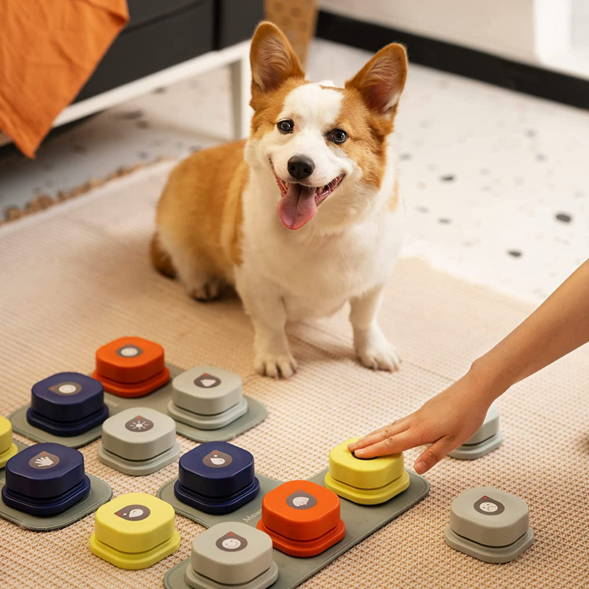 Dog Training Talking Buttons