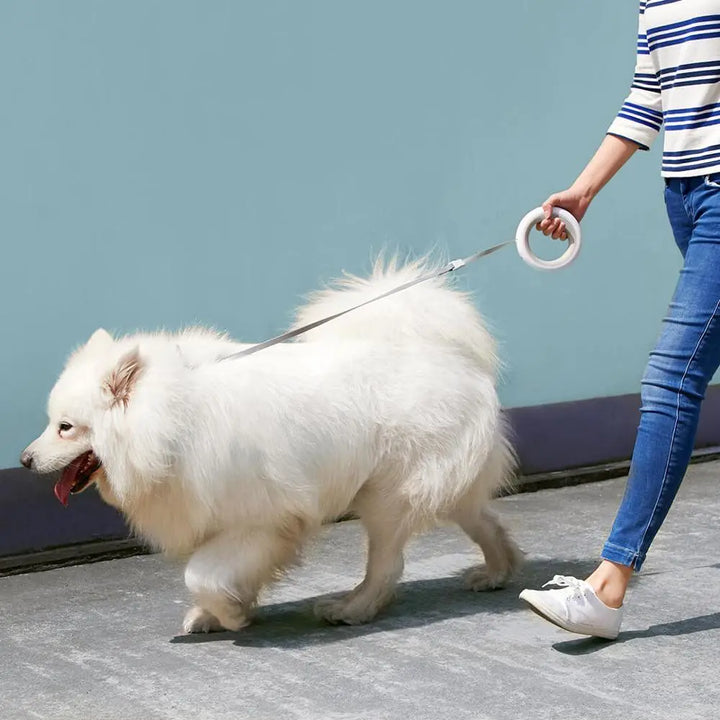 Smart LED Retractable Dog Leash