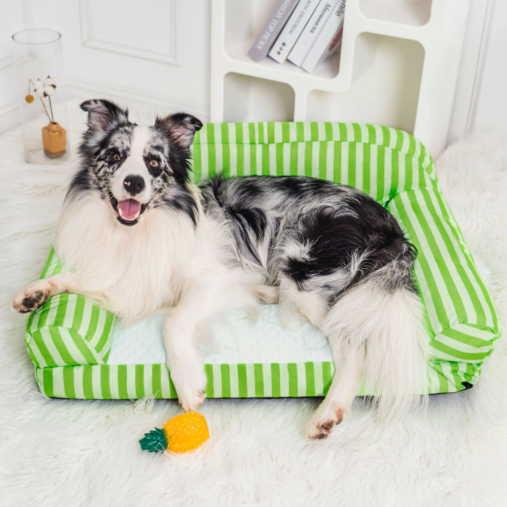 Cool Nest Dog Sofa Bed