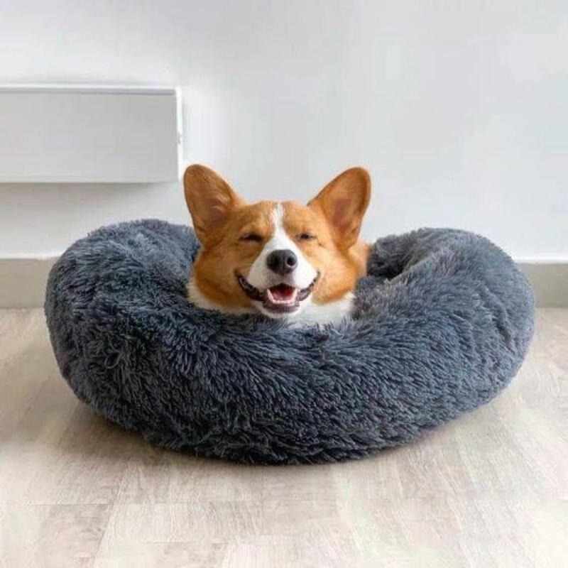 The Premium Anxiety-Relieving Dog Bed