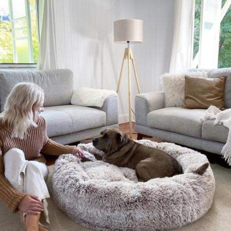 The Premium Anxiety-Relieving Dog Bed