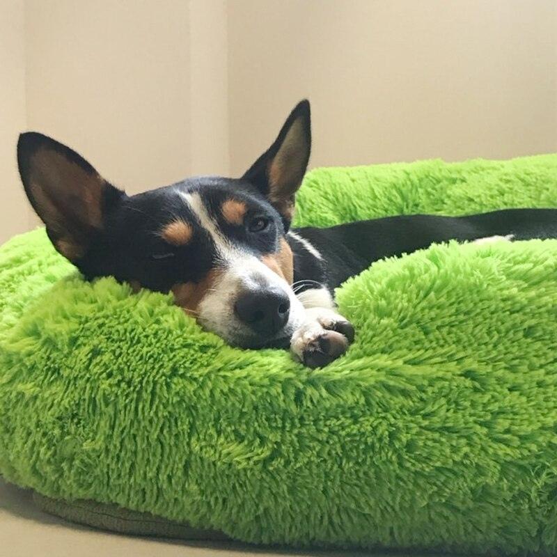 The Premium Anxiety-Relieving Dog Bed