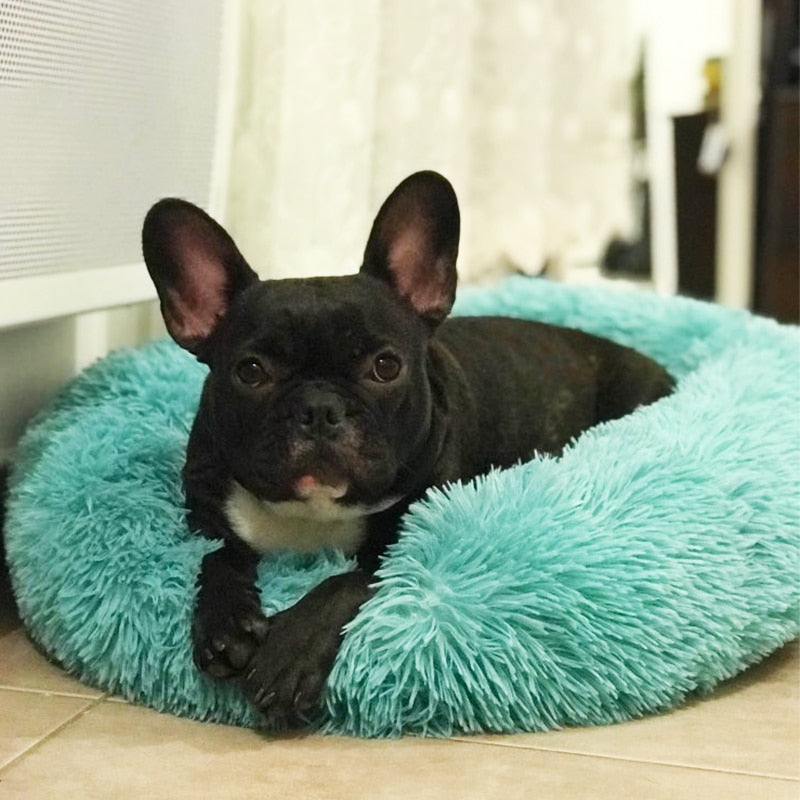 Anxiety Relieving Dog Bed