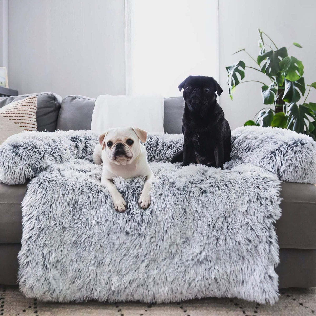 Couch Cover for Dogs