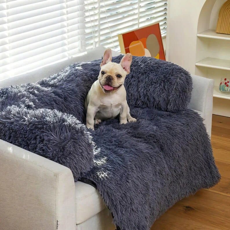 Couch Cover for Dogs