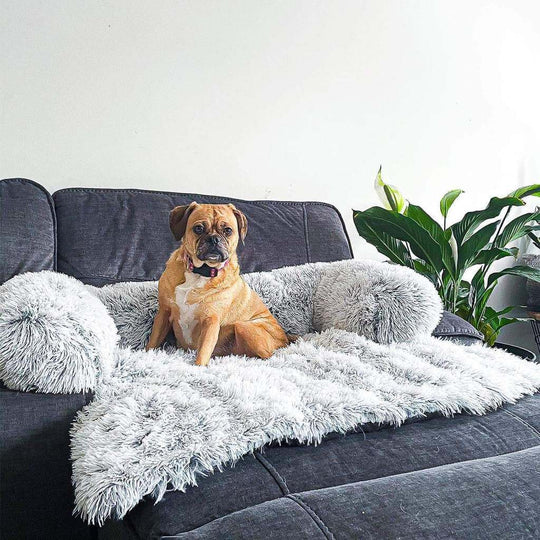 Couch Cover for Dogs