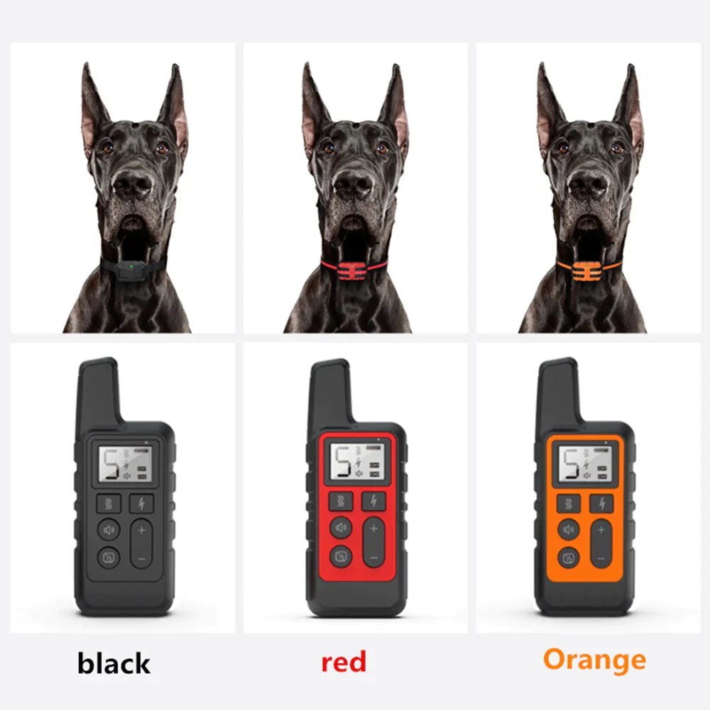 Dog Training Collar