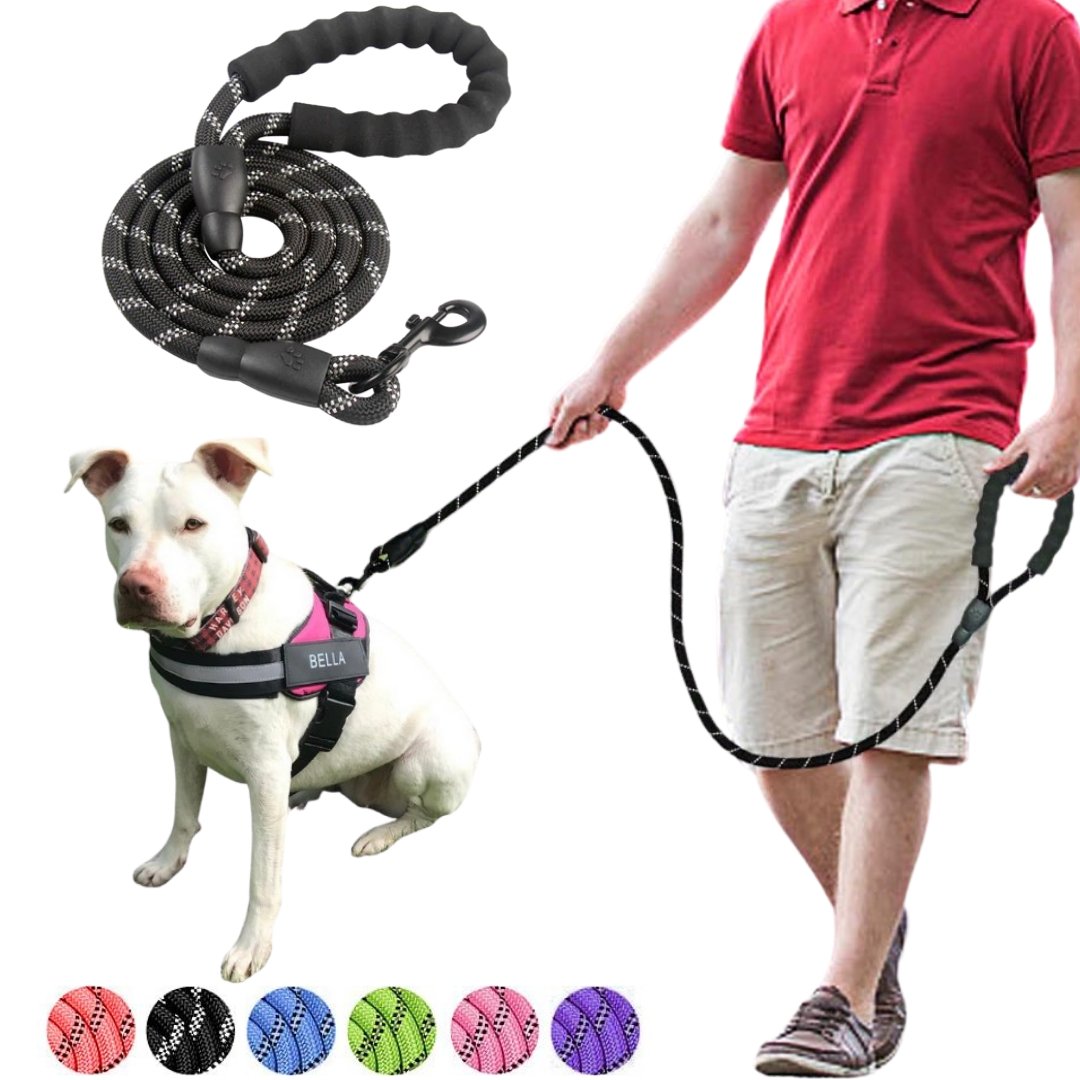 Strong Reflective Dog Leash